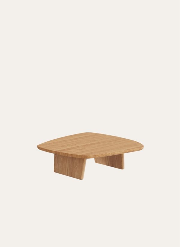 AMORPHOUS COFFEE TABLE - 100 CM