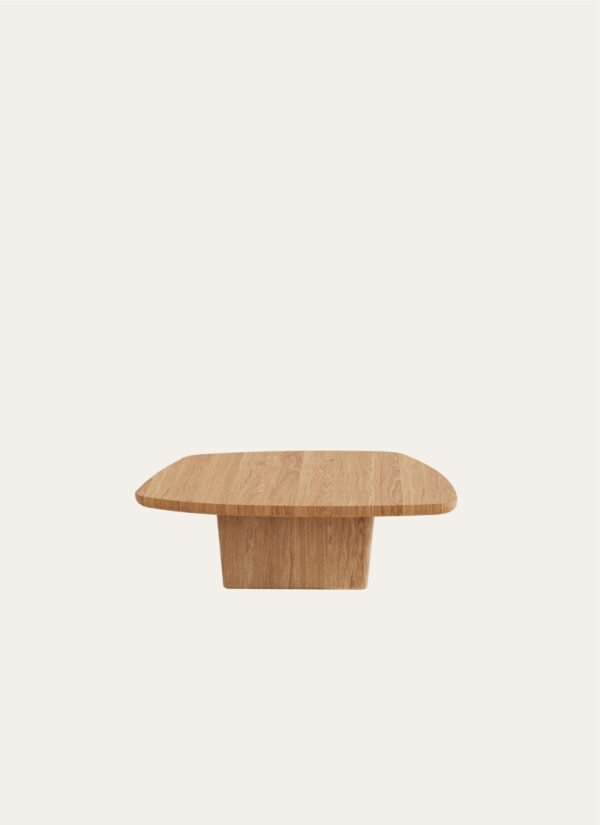 AMORPHOUS COFFEE TABLE - 100 CM