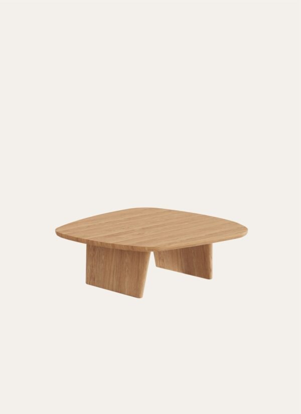 AMORPHOUS COFFEE TABLE - 120 CM