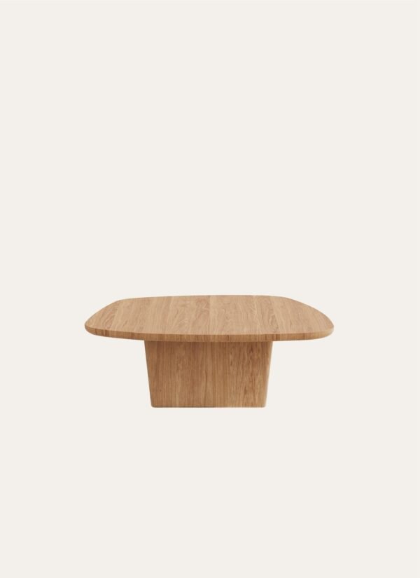 AMORPHOUS COFFEE TABLE - 120 CM