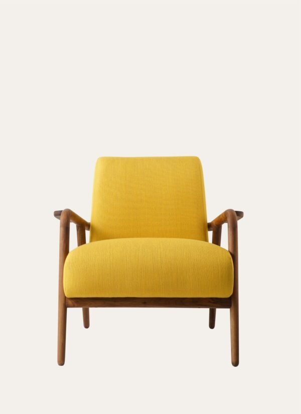 BONY ARMCHAIR